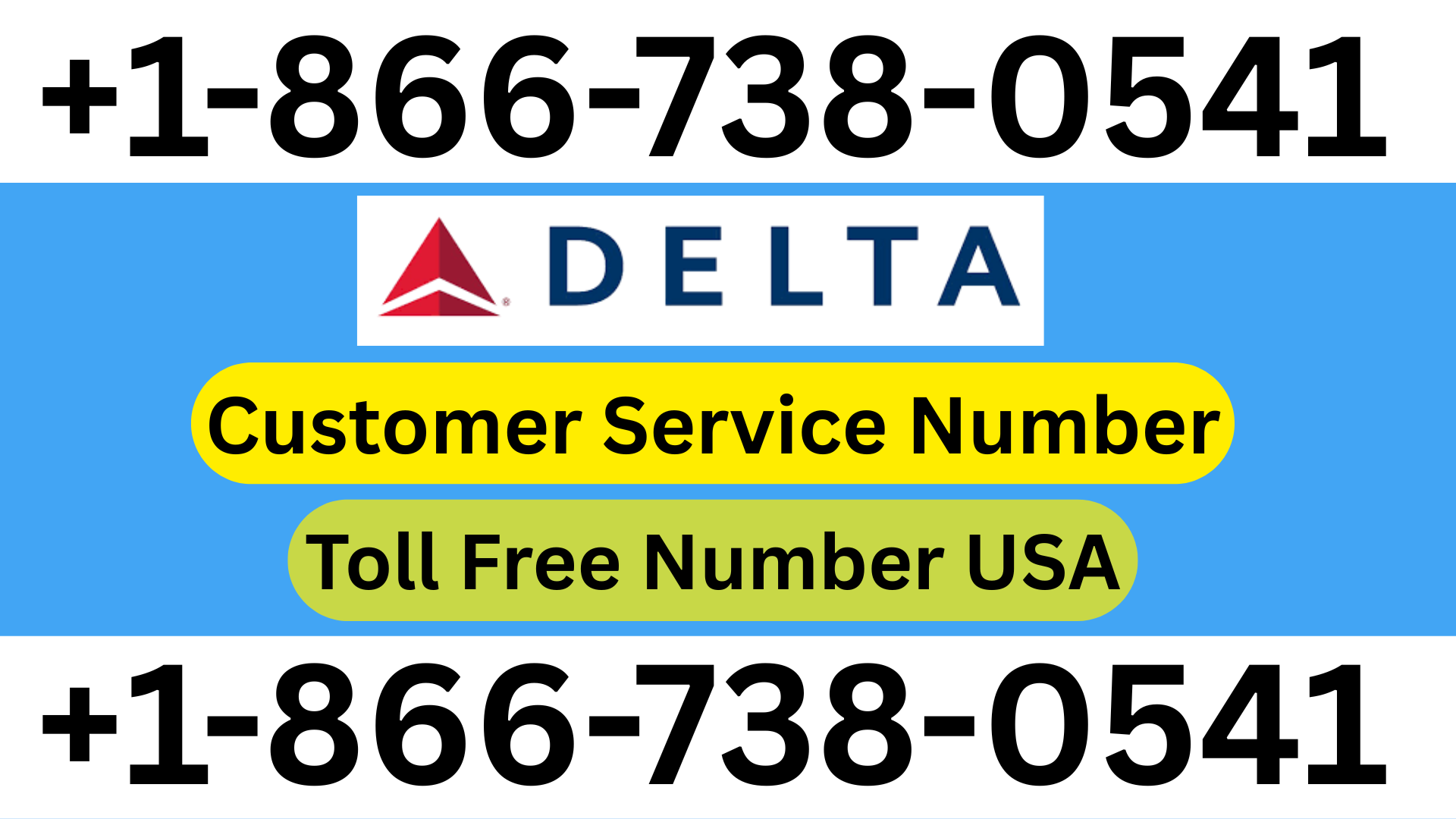 Spirit Airlines Missed Flight Policy Next Steps for Passengers — Virginia Zoo